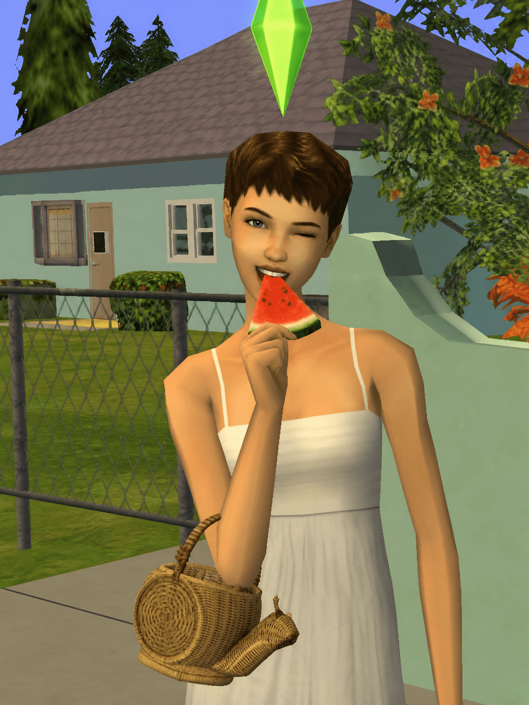 Sims game style